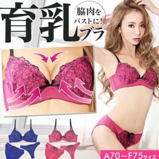 新品！三点セットEFあり育乳ローズチュールブラジャーショーツTバックセット(ブラ&ショーツセット)