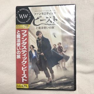 ファンタスティックビースト DVD(外国映画)