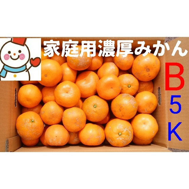 懐かしい味一筋❗家庭用濃厚みかんB５㌔❤️和歌山減農薬栽培 食品/飲料/酒の食品(フルーツ)の商品写真