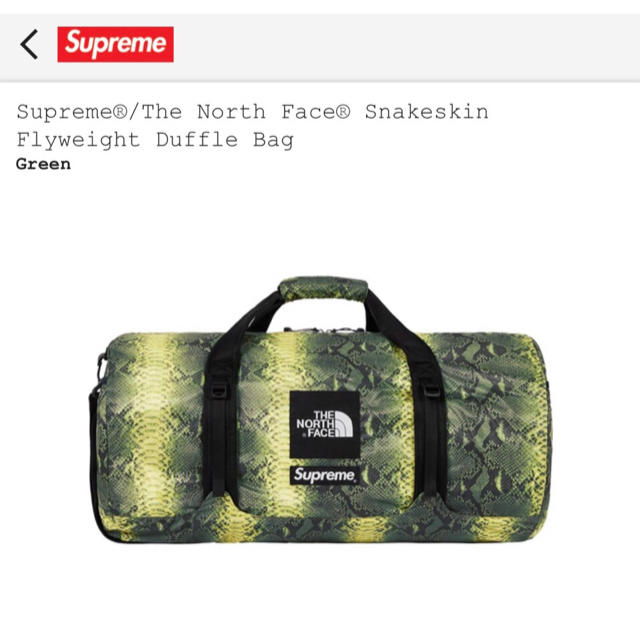 Supreme/TheNorth Face SnakeskinDuffleBag