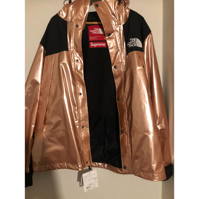 supreme north face metallic Lサイズ