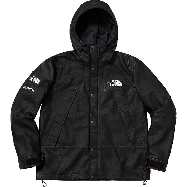 Supreme North Face Leather MountainParka