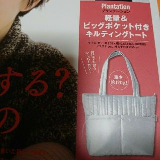 プランテーション(Plantation)の大人のおしゃれ手帖付録のみ❗ビッグポケット付き キルティングトート(トートバッグ)