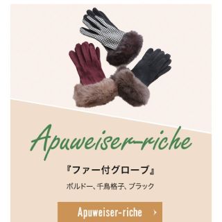 アプワイザーリッシェ(Apuweiser-riche)のアプワ(手袋)