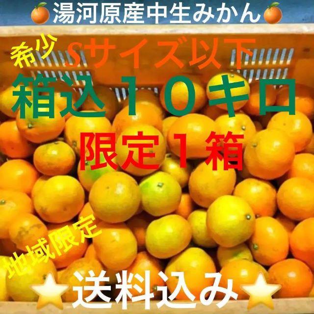 限定１箱★訳あり 神奈川県湯河原産 産直 中生みかんSサイズ以下10kg箱込み 食品/飲料/酒の食品(フルーツ)の商品写真