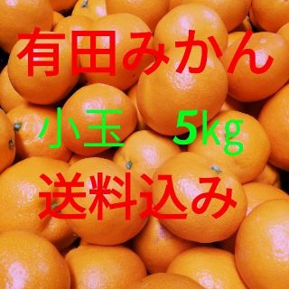 有田みかん🍊小玉🍊5㎏🍊送料込み(フルーツ)