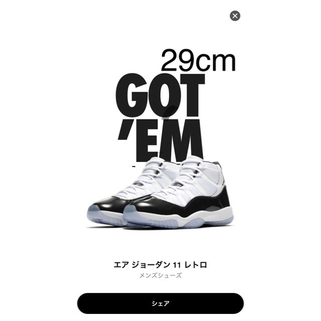 nike  air jordan 11 concord 29cm