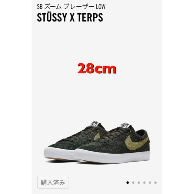 STUSSY(ステューシー)の28cm SB ズーム ブレーザー LOW STUSSY X TERPS メンズの靴/シューズ(スニーカー)の商品写真