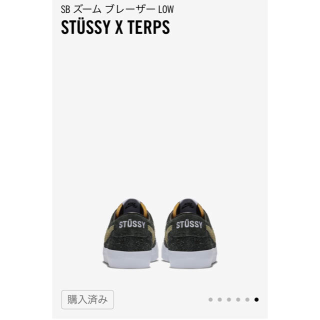 STUSSY(ステューシー)の28cm SB ズーム ブレーザー LOW STUSSY X TERPS メンズの靴/シューズ(スニーカー)の商品写真