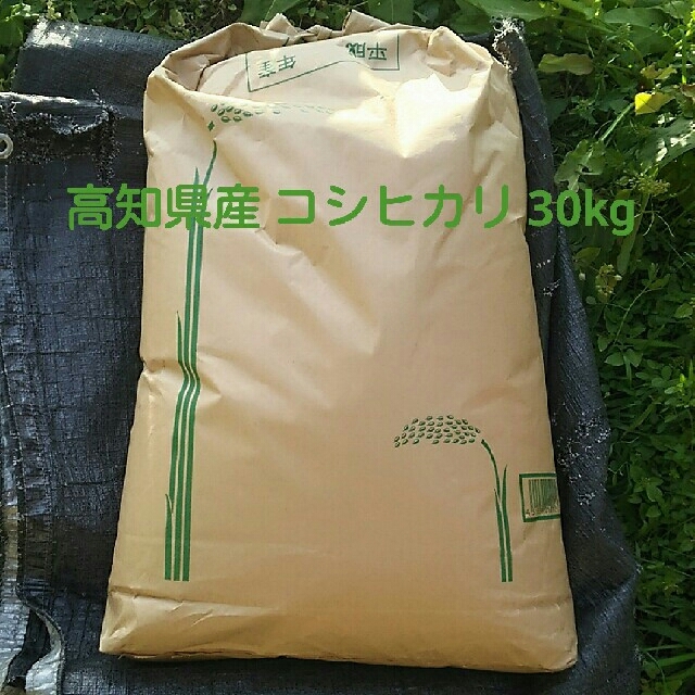 新米 コシヒカリ 玄米 30kg 食品/飲料/酒の食品(米/穀物)の商品写真