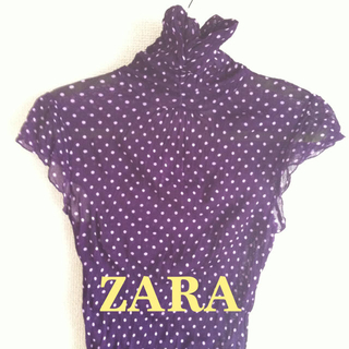ザラ(ZARA)のZARA ドット シースルートップス(カットソー(半袖/袖なし))