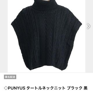 プニュズ(PUNYUS)のPUNYUSタートルネック(ニット/セーター)