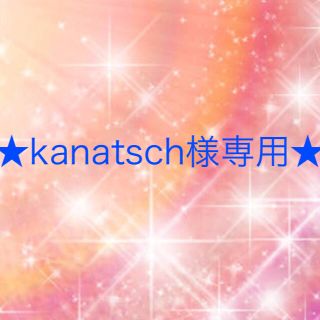 ワコール(Wacoal)のkanatsch様専用(その他)