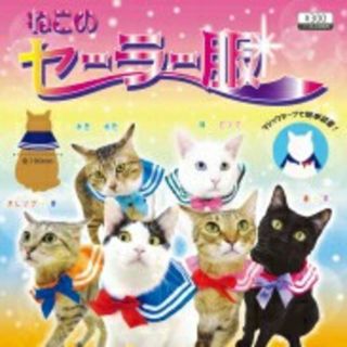 ねこのセーラー服*セーラームーン&セーラーちびムーン(猫)