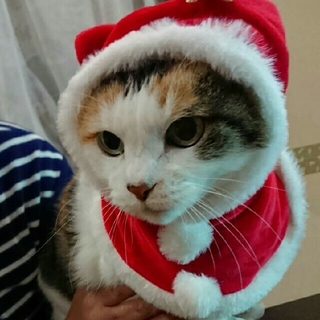 ねこのかぶりもの クリスマス ポンチョ(猫)