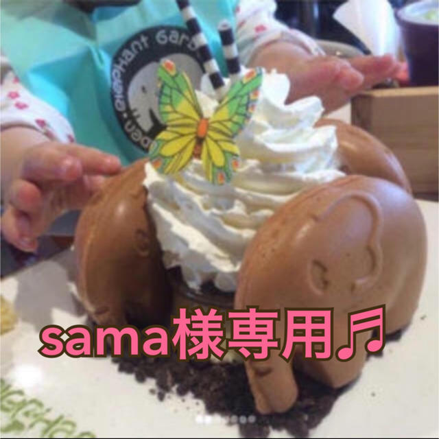 ☆sama様専用♬☆ 食品/飲料/酒の飲料(茶)の商品写真