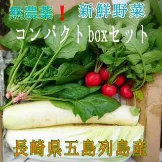 無農薬❗新鮮野菜セット(コンパクトbox) 長崎県五島列島よりお届け❗(野菜)