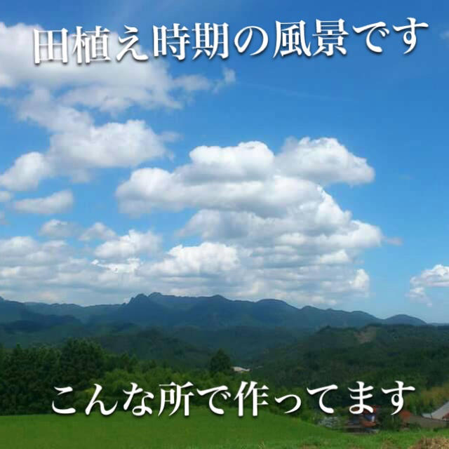 夏の花様専用 30キロ(20キロ分精米小分け、残り玄米小分け)