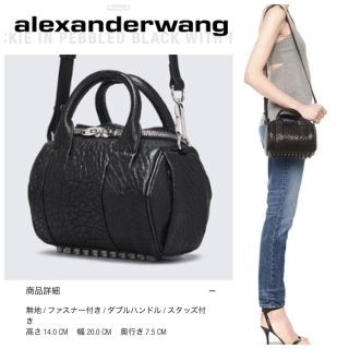 アレキサンダーワン(Alexander Wang)のALEXANDER WANG アレキサンダーワン ミニ ロッキー  バッグ(ショルダーバッグ)