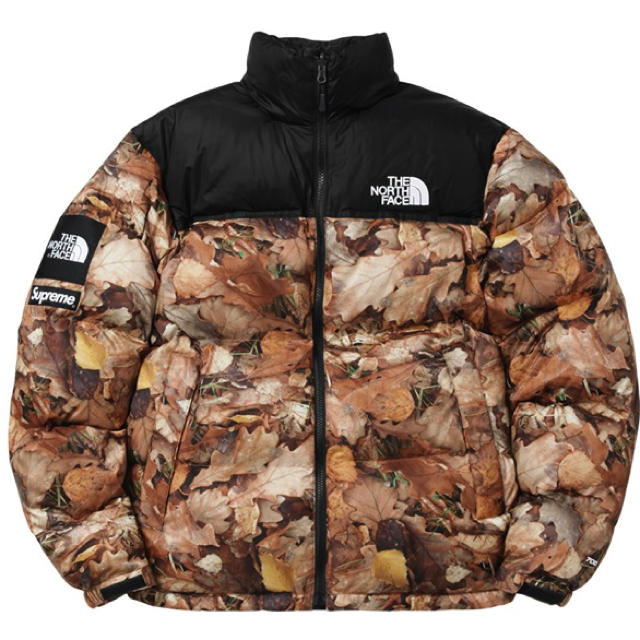 Supreme(シュプリーム)の Supreme THE NORTH FACE  Nuptse LEAVES  メンズのジャケット/アウター(ダウンジャケット)の商品写真