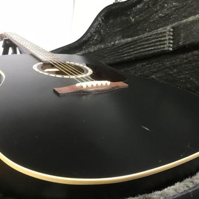 カナダ製★Art&Lutherie アート＆ルシアー★Cedar Black★