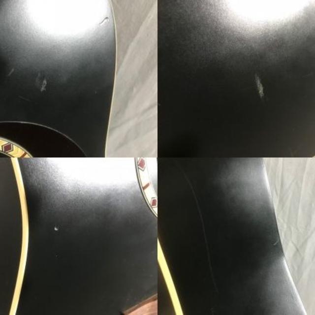 カナダ製★Art&Lutherie アート＆ルシアー★Cedar Black★