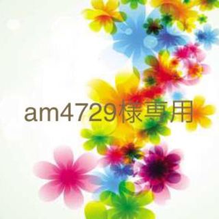 am4729様専用(セット/コーデ)