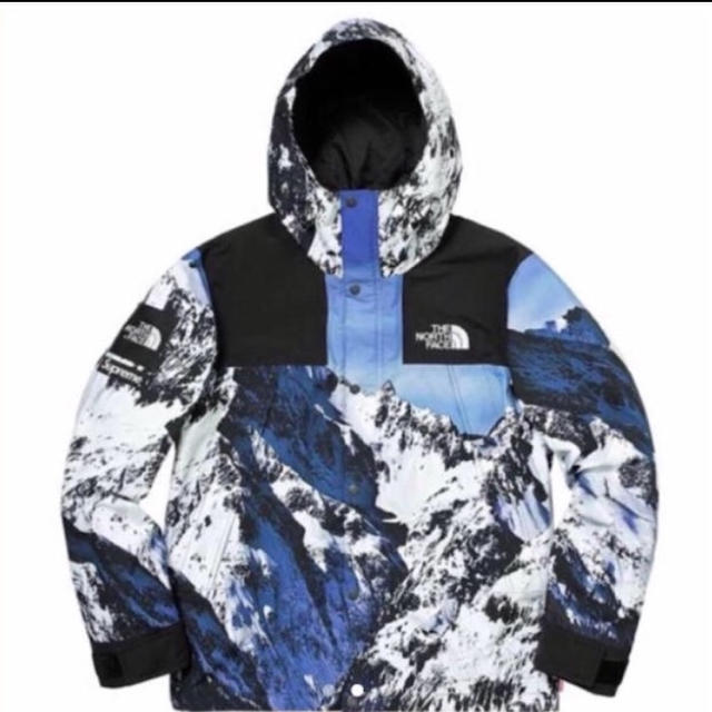 Supreme - supreme the north face mountain parka s