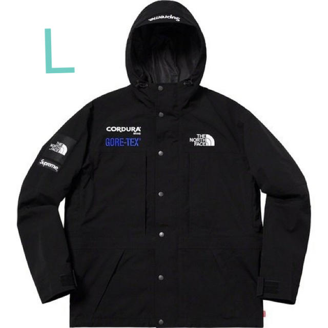 L supreme the north face