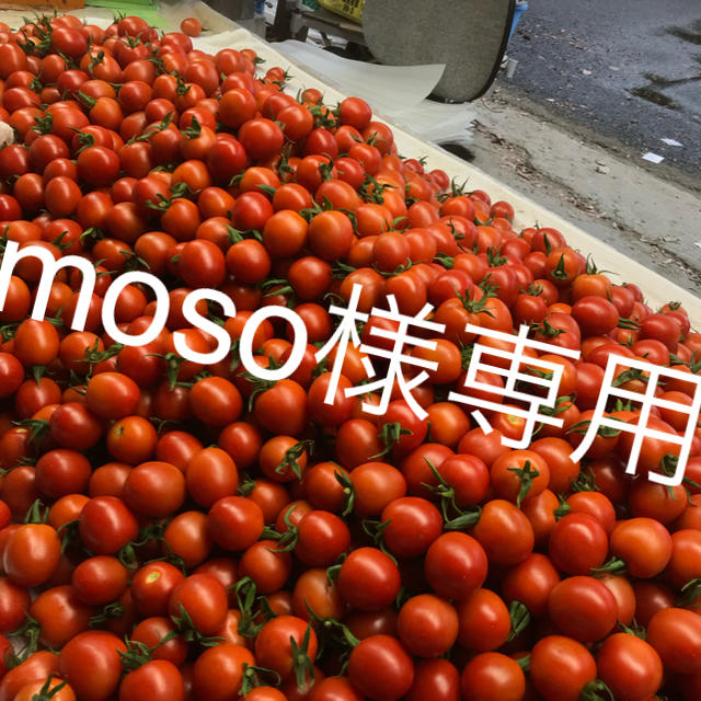 moso様専用 ミニトマト2kg 食品/飲料/酒の食品(野菜)の商品写真