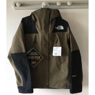 ザノースフェイス(THE NORTH FACE)のマウンテンジャケット ビーチグリーン レディースM 14日まで限定値下げ(ナイロンジャケット)