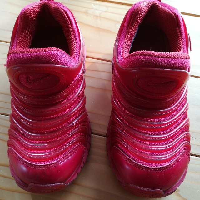 NIKE(ナイキ)のナイキ　ダイナモフリー　19㎝ キッズ/ベビー/マタニティのキッズ靴/シューズ(15cm~)(スニーカー)の商品写真