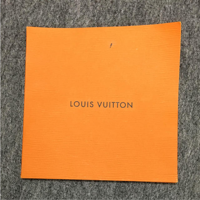 LOUIS VUITTON(ルイヴィトン)のLOUIS VUTTION  ルイヴィトン   カタログ  エピ レディースのバッグ(ショップ袋)の商品写真