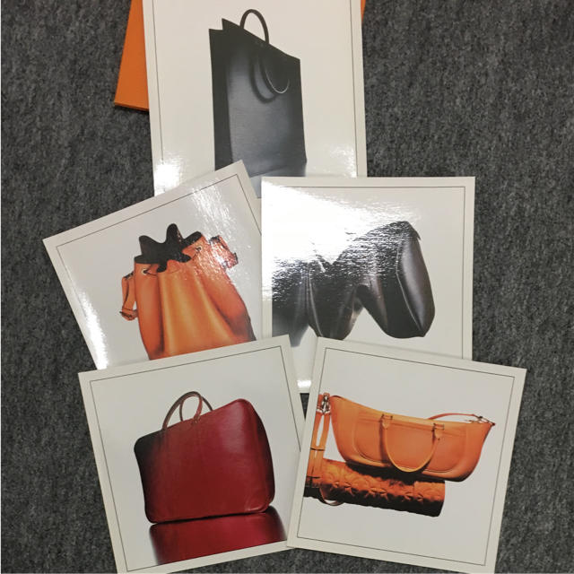 LOUIS VUITTON(ルイヴィトン)のLOUIS VUTTION  ルイヴィトン   カタログ  エピ レディースのバッグ(ショップ袋)の商品写真