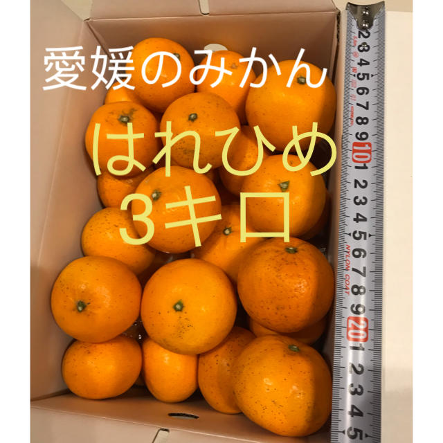 愛媛のみかん  はれひめ  3キロ 食品/飲料/酒の食品(フルーツ)の商品写真