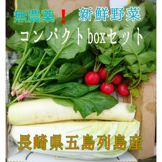 無農薬❗新鮮野菜セット(コンパクトbox) 長崎県五島列島よりお届け❗(野菜)