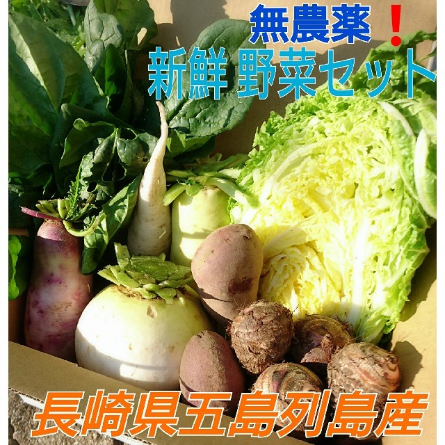 無農薬❗新鮮野菜セット(70サイズ) 長崎県五島列島よりお届け❗ 食品/飲料/酒の食品(野菜)の商品写真