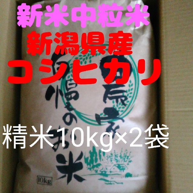 【即購入OK】新米新潟コシヒカリ中粒米10キロ精米×2袋同梱 食品/飲料/酒の食品(米/穀物)の商品写真