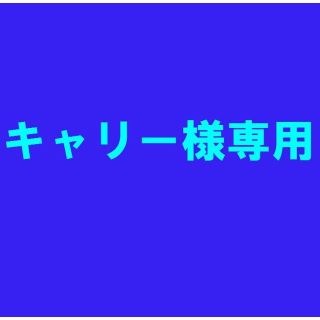 キャリー様専用出品(電気毛布)