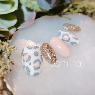 ネイルチップ ジェルネイル asmnail