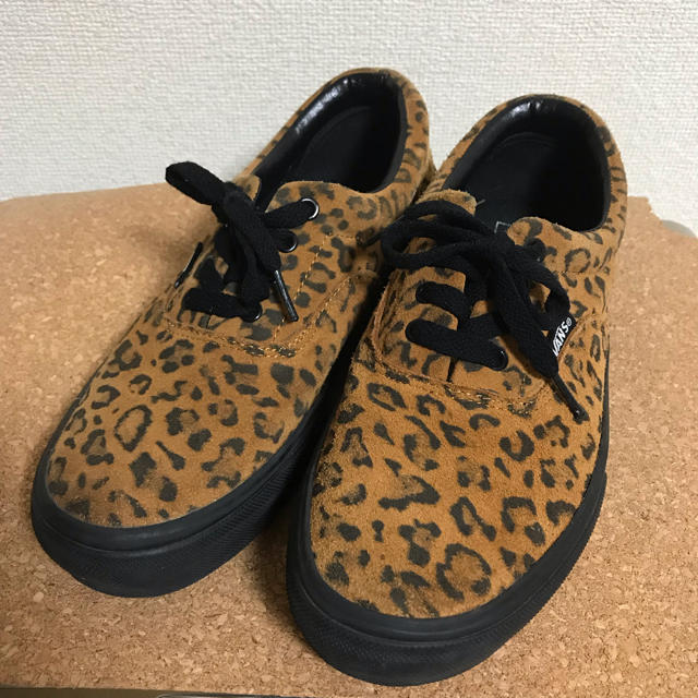 VANS(ヴァンズ)のバンズ vans 25.5センチ レディースの靴/シューズ(スニーカー)の商品写真