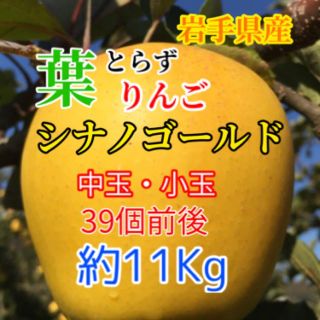 【送料込】葉とらずりんご シナノゴールド 約11kg(フルーツ)