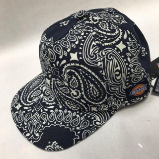 Dickies×HAV-A-HANK  限定コラボ商品