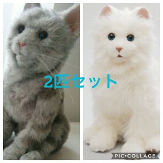 大幅値下げ‼️夢ねこセット🐈(ぬいぐるみ)