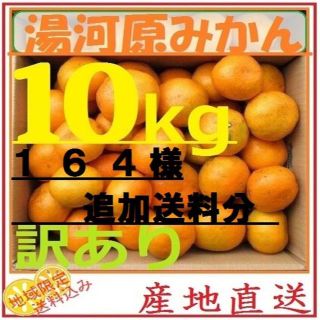 １　６　４様追加送料専用10㌔ みかん 🍊訳あり 湯河原みかん ご家庭用(フルーツ)