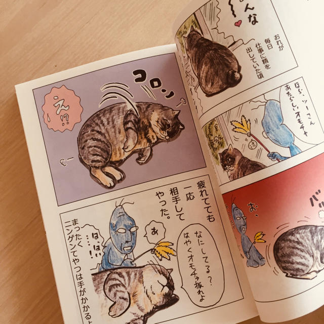 小学館(ショウガクカン)の俺つしま エンタメ/ホビーの漫画(その他)の商品写真