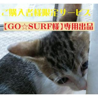アイコス(IQOS)の【GO☆SURF様専用出品】ご購入者様限定サービス(タバコグッズ)