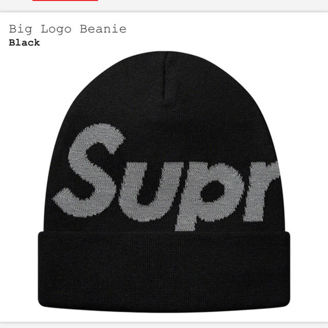 Big Logo Beanie 3ニット帽/ビーニー