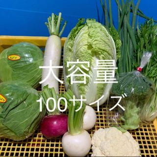 宮崎県産 野菜セット(野菜)