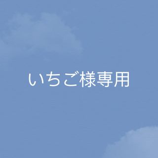 いちご様専用(その他)